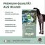 Irish Pure 12kg Trockenfutter Adult | Irischer Weißfisch mit Gemüse & Kelp-Alge | Hoher Fleischanteil | Getreidefrei | Hypoallergen | Single-Protein Hundefutter für ausgewachsene Hunde Aller Rassen