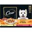 CESAR Adult Hundefutter nass - 4x12x100g Portionsbeutel - mit Huhn & Rind - Hundenassfutter in Gelee – Ausgewogenes Premium Nassfutter für Hunde - 4er Pack
