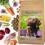 Markus-Mühle NaturNah Hundefutter, Kaltgepresst mit Hühnertrockenfleisch, Vollkornmais und Wild, 15 kg (15kg Markus Mühle Naturnah, + 800g Naturpfötchen Freilandgans Trockenfutter)