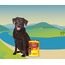 JosiDog Beef in Sauce (12 x 415 g) | Adult | Premium Nassfutter für ausgewachsene Hunde | mit Rind in Sauce mit Vitamin D3 & E | Powered by JOSERA | Hundefutter nass | Alleinfutter | 12er Pack