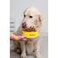 JosiDog Mini (1 x 10 kg) | Adult Mini | Premium Trockenfutter für ausgewachsene, kleine Hunde | mit hochwertigem Geflügelprotein | Extrakleine Kroketten| Powered by JOSERA | Hundefutter | 1er Pack