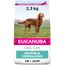 Eukanuba Daily Care Sensitive Digestion Hundefutter - Trockenfutter für Hunde mit sensibler Verdauung, Magenfreundlich mit leicht verdaulichem Reis, 2,3 kg