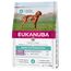 Eukanuba Daily Care Sensitive Digestion Welpenfutter - Trockenfutter für Welpen mit sensibler Verdauung, Magenfreundlich mit leicht verdaulichem Reis, 2,3 kg