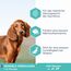 Eukanuba Daily Care Sensitive Digestion Welpenfutter - Trockenfutter für Welpen mit sensibler Verdauung, Magenfreundlich mit leicht verdaulichem Reis, 2,3 kg