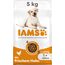 IAMS Hundefutter trocken mit Huhn - Trockenfutter für erwachsene Hunde ab 1 Jahr, geeignet für große Hunde, 5 kg