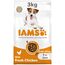 IAMS Hundefutter trocken mit Huhn - Trockenfutter für Erwachsene Hunde ab 1 Jahr, geeignet für kleine & mittelgroße Hunde, 3 kg
