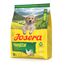 JOSERA Junior YoungStar Huhn & Kartoffel (1 x 900 g) | Premium Trockenfutter für wachsende Hunde | Welpenfutter für mittlere und große Rassen zur optimalen Versorgung | getreidefrei | 1er Pack