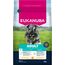 Eukanuba Hundefutter Trocken mit frischem Huhn für kleine Rassen, Premium Trockenfutter für ausgewachsene Hunde, 3 kg