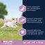 Eukanuba Welpenfutter mit frischem Huhn für kleine Rassen, Premium Trockenfutter für Junior Hunde, 3 kg