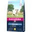 Eukanuba Hundefutter mit frischem Huhn für kleine Rassen, Premium Trockenfutter für reife Hunde, 3 kg