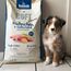 bosch HPC SOFT Junior Hühnchen & Süßkartoffel | halbfeuchtes Hundefutter für wachsende Hunde aller Rassen | Single Protein | grain-free | 1 x 1 kg