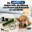Pedigree DentaStix Fresh Hundeleckerli für große Hunde, Kausnack gegen Zahnsteinbildung, Für gesunde Zähne und einen frischen Atem, 4 er Pack, 4 x 28 Stück