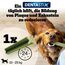 Pedigree Denta Stix Fresh/Zahnpflege-Snack für mittelgroße Hunde