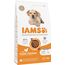 IAMS Junior Hundefutter trocken mit Huhn - Welpenfutter für Welpen im Alter von 1-12 Monaten, geeignet für große Rassen, 3 kg