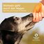 AniForte Magen & Darm Snack für Hunde 300g - Verdauungssnacks mit Probiotika, Heilmoor, fördert Darmregulierung & Verdauung, verbessert die Kotbeschaffenheit, getreidefrei, ohne Zucker