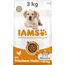 IAMS Junior Hundefutter trocken mit Huhn - Welpenfutter für Welpen im Alter von 1-12 Monaten, geeignet für große Rassen, 3 kg