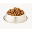 Eukanuba Breed Specific Dackel Trockenfutter - optimal auf die Rasse abgestimmtes Premium Hundefutter mit Huhn, 2,5 kg (Packung mit 2)