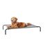 Amazon Basics Kühlendes erhöhtes Hund Haustierbett, Grau, Größe L, L 130 x B 80 x H 19 cm
