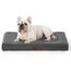 BEDSURE orthopädisches Hundebett kleine Hunde - 76x51x7.6cm Hundekissen flauschig Hundematte waschbar Hundematratze in dunkelgrau für kleine Hunde