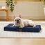 BEDSURE orthopädisches Hundebett kleine Hunde - 76x51x7.6cm Hundekissen flauschig Hundematte waschbar Hundematratze in Navyblau für kleine Hunde