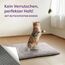 Knupis Selbstheizende Decke für Katzen Grau 60x45cm – Weich & kuschelige Katzendecke – Waschbarer Bezug – Mit Rutschfester Unterseite – Heizdecke für Katzen – Wärmekissen Katze – Grau