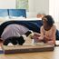BEDSURE orthopädisches Hundebett kleine Hunde - 76x51x7.6cm Hundekissen flauschig Hundematte waschbar Hundematratze in braun für kleine Hunde