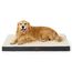 BEDSURE orthopädisches Hundebett Grosse Hunde - 112x81x7.6cm Hundekissen flauschig Hundematte waschbar Hundematratze in grau für große Hunde
