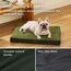 BEDSURE orthopädisches Hundebett kleine Hunde - 76x51x7.6cm Hundekissen flauschig Hundematte waschbar Hundematratze in dunkelgrün für kleine Hunde