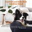FURTIME Hundebett Grosse Hunde, Hundekorb Waschbar Hundekörbchen rutschfeste Hundebetten, Flauschig Hundematratze mit Erhöhte Ränder Weiches, Hundesofa für Hunde Katze, Schwarz/Sterne, 89x63x23cm