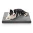BEDSURE waschbares Hundebett für Grosse Hunde - 104x69x8.5cm Komfort Hundekissen mit Rutschfester Basis und abnehmbarem waschbarem Bezug, Eierkarton-Schaumstoff Hundematte, Grau