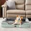 EHEYCIGA Orthopädisches Hundebett Kleine Hunde, 76x51cm, Memory Foam Hundekorb Mittelgroße Hunde, Waschbar Hundesofa Wasserdicht rutschfest, Hundecouch mit Hohem Rand, Gräuliches Grün