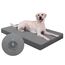 Favodormir Orthopädisches Hundebett Grosse Hunde 119x73cm,Abnehmbare Wassericht Kunstleder-Hülle Hundekissen Hundematratze für große Hunde,Komfortable & Kühlende Für Innen- Und Außenbereich,Grau