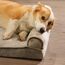 Amazon Basics Großes Hundebett/Sofa in U-Form aus Schaumstoff, mit abnehmbarem, waschbarem Bezug, Taupe, 91 x 69 x 17 cm (L x W x H)