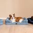 EHEYCIGA Orthopädisches Hundebett Grosse Hunde, 112x81cm, Memory Foam Hundekorb XL, Waschbar Hundesofa Wasserdicht rutschfest, Hundecouch mit Hohem Rand, Hellblau