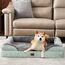 EHEYCIGA Orthopädisches Hundebett Grosse Hunde, 104x69cm, Memory Foam Hundekorb Mittelgroße Hunde, Waschbar Hundesofa Wasserdicht rutschfest, Hundecouch mit Hohem Rand, Gräuliches Grün