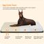 HMTOPE Orthopädisches Hundebett, 10cm Dicke Hundekissen für Grosse Hunde, Abnehmbar und Waschbar Hundematte, rutschfeste Unterseite, Wasserdichtes Innenfutter, 120 cm, Beige