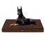 HMTOPE Orthopädisches Hundebett, 10cm Dicke Hundekissen für Grosse Hunde, Abnehmbar und Waschbar Hundematte, rutschfeste Unterseite, Wasserdichtes Innenfutter, 120 cm, Braun