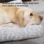 KSIIA Hundebett Grosse Hunde, Waschbar Hundekissen flauschig, Hundematte für große, mittelgroße Hunde, rutschfeste Unterseite, atmungsaktiv, Haustierbett Hundematratze Hellgrau 90x60cm
