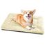 Baodan Hundebett Mittelgroße Kleine Hunde, Hundekissen Waschbar für kleine mittelgroße Hunde, Dog Bed - 75x50 cm Superweich Katzenbett mit Rutschfester Unterseite - Beige