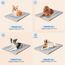 Baodan Hundebett Mittelgroße Hunde Waschbar, 90x60 cm Hundekissen Flauschig mit rutschfeste Unterseite, Hundebetten für Mittelgroße Hunde, Grau (Packung mit 2)