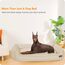 HMTOPE Hundebett, Hundesofa, Hundekissen, Hundekörbchen Abnehmbar und waschbar, Beige, 120 x 90 x 30 cm