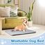 Baodan Hundebett Kleine Hunde Waschbar, 75x50 cm Hundekissen Flauschig mit rutschfeste Unterseite, Hundebetten für Kleine Mittelgroße Hunde, Grau