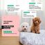 Wahre Tierliebe Orthopädisches Hundebett Deluxe für Kleine bis Große Hunde - Made in Germany - Waschbar & Formstabil - Flauschiges Hundekörbchen mit Hohem Rand für Sicherheit & Geborgenheit