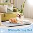 Baodan Hundebett Grosse Hunde Waschbar, 122x75 cm Hundekissen Flauschig mit rutschfeste Unterseite, XXL Hundebetten für Große Hunde, Grau