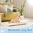 Baodan Hundebett Mittelgroße Kleine Hunde, Hundekissen Waschbar für kleine mittelgroße Hunde, Dog Bed - 75x50 cm Superweich Katzenbett mit Rutschfester Unterseite - Beige