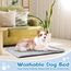 Baodan Hundebett Grosse Hunde Waschbar, 106x71 cm Hundekissen Flauschig mit rutschfeste Unterseite, XL Hundebetten für Große Hunde, Grau
