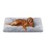 Feandrea Hundebett, Hundekissen, Flauschige Hundematte, Langer Plüsch, 140 x 100 cm, weiche Polsterung, waschbar, multifunktional, Ombré-Grau PGW205G01