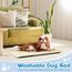 Baodan Waschbar Hundebett Mittelgroße Hunde - 90x60 cm Hundekissen flauschig Hundedecke rutschfest Hundebetten für mittelgroße Hunde, beige
