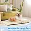 Baodan Hundebett Grosse Hunde, Hundekissen Waschbar Dog Bed - 122x75 cm Superweich Katzenbett mit Rutschfester Unterseite - Beige