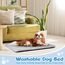 Baodan Hundebett Mittelgroße Hunde Waschbar, 90x60 cm Hundekissen Flauschig mit rutschfeste Unterseite, Hundebetten für Mittelgroße Hunde, Grau (Packung mit 2)